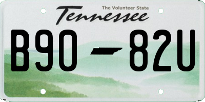 TN license plate B9082U