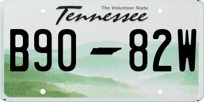 TN license plate B9082W