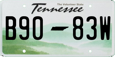 TN license plate B9083W