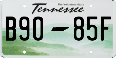 TN license plate B9085F