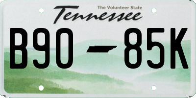 TN license plate B9085K