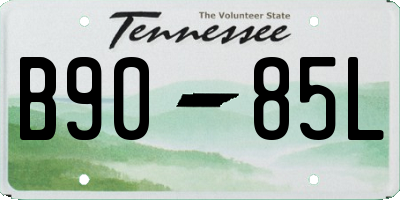 TN license plate B9085L