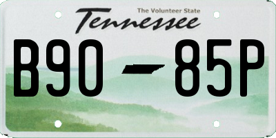 TN license plate B9085P