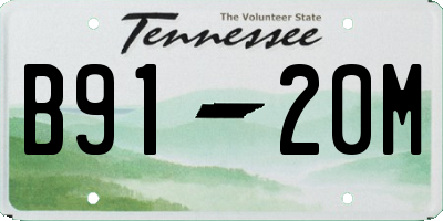 TN license plate B9120M