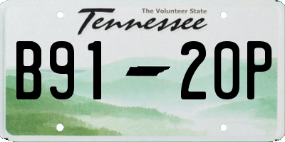 TN license plate B9120P