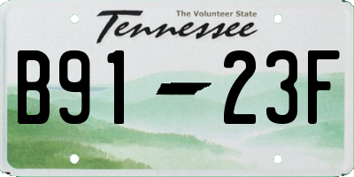 TN license plate B9123F