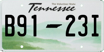 TN license plate B9123I
