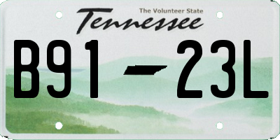 TN license plate B9123L