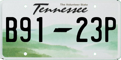 TN license plate B9123P