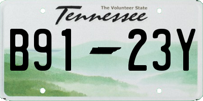 TN license plate B9123Y