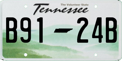 TN license plate B9124B