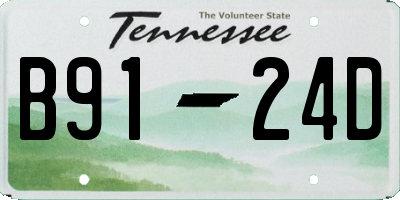 TN license plate B9124D