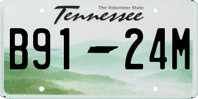TN license plate B9124M