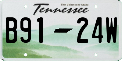 TN license plate B9124W
