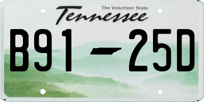 TN license plate B9125D