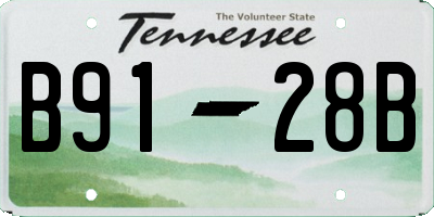 TN license plate B9128B