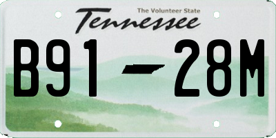 TN license plate B9128M