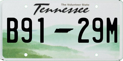 TN license plate B9129M