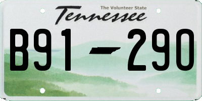 TN license plate B9129O