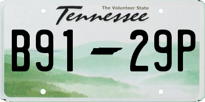 TN license plate B9129P