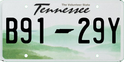 TN license plate B9129Y