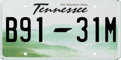 TN license plate B9131M