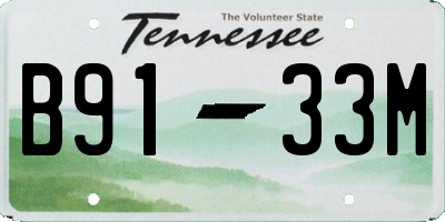TN license plate B9133M