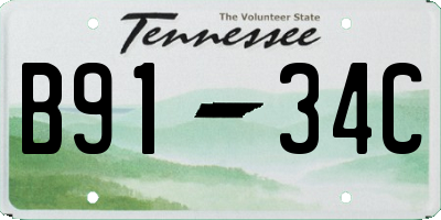 TN license plate B9134C