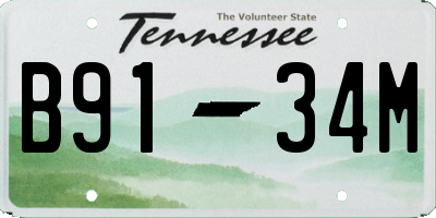 TN license plate B9134M