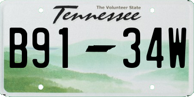 TN license plate B9134W