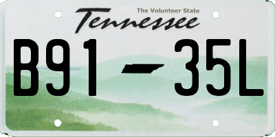TN license plate B9135L