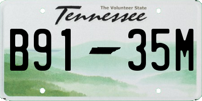 TN license plate B9135M