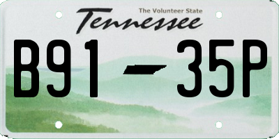 TN license plate B9135P