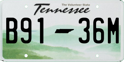 TN license plate B9136M