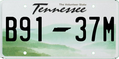 TN license plate B9137M