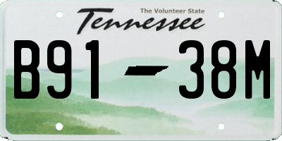 TN license plate B9138M