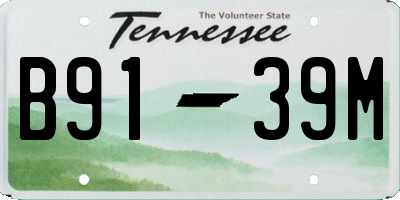 TN license plate B9139M