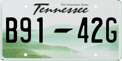 TN license plate B9142G