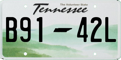 TN license plate B9142L