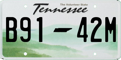 TN license plate B9142M