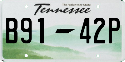 TN license plate B9142P