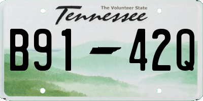 TN license plate B9142Q