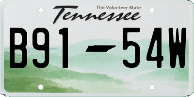 TN license plate B9154W