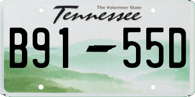 TN license plate B9155D