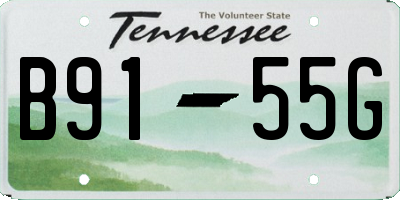 TN license plate B9155G