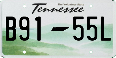 TN license plate B9155L
