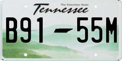 TN license plate B9155M