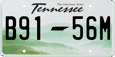 TN license plate B9156M