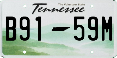 TN license plate B9159M