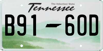 TN license plate B9160D